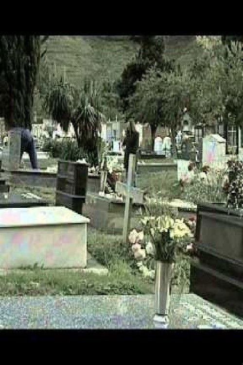 L'aire les castañes (2000) poster