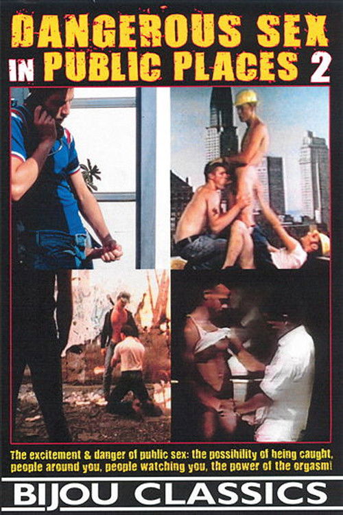 Dangerous Sex in Public Places 2 (2016) poster