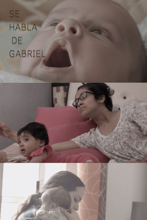 Se habla de Gabriel (2020) poster