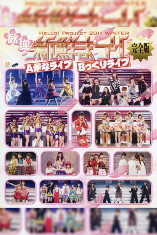 Hello! Project 2011 Winter ~Kangei Shinsen Matsuri~ A gana Live (2011) poster