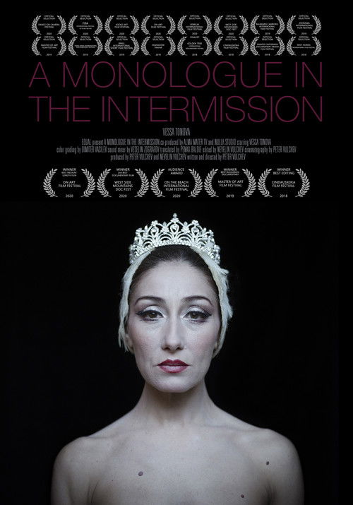 A Monologue in the Intermission (2018) poster