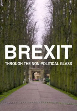 Brexit Through the Non-political Glass (2021) poster