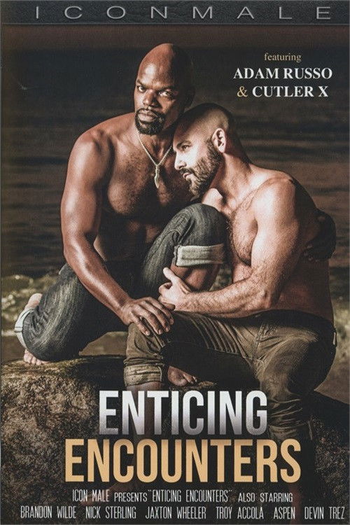 Enticing Encounters (2023) poster