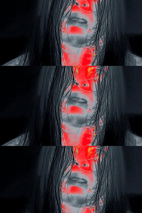 The Preyer (2024) poster