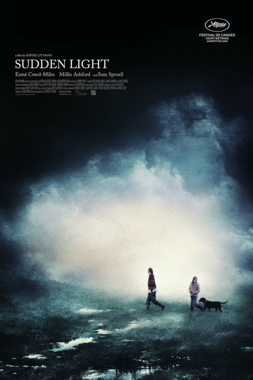 Sudden Light (2020) poster