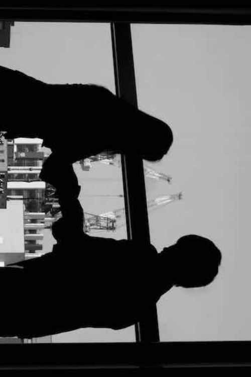 Mirror of Post-Truth (2017) poster