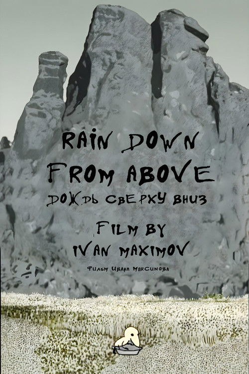 Rain Down from Above (2007) poster