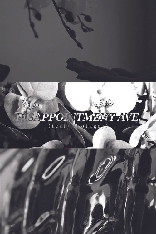 Disappointment Ave. Test No.1 (2023) poster