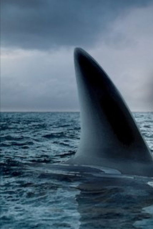 Ocean of Fear (2007) poster