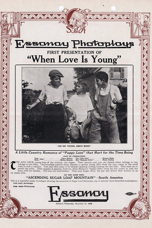 When Love is Young (1913) poster
