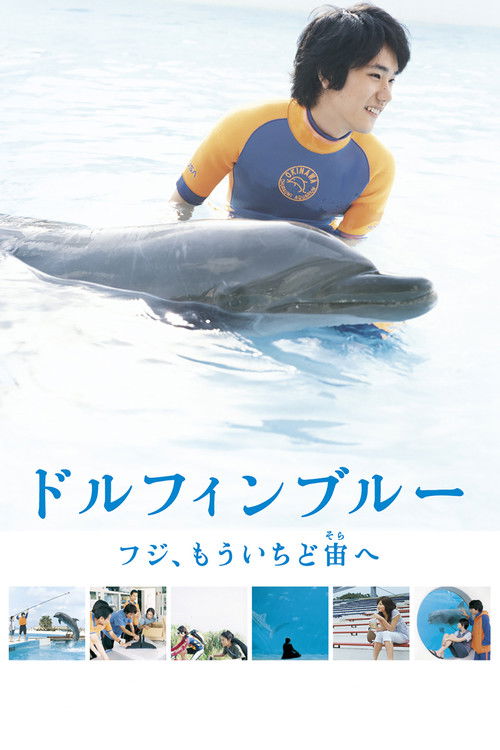 Dolphin Blue: Soar Again, Fuji (2007) poster