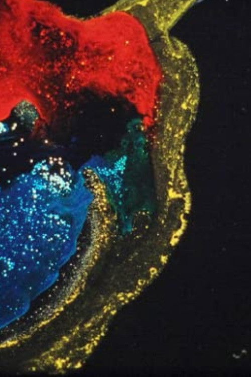 Intransit (2014) poster