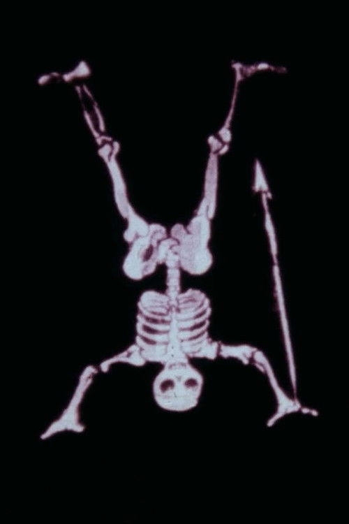 Magic Lanterns (1980) poster