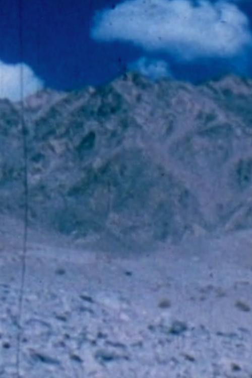 Vitaal Filmen (1992) poster