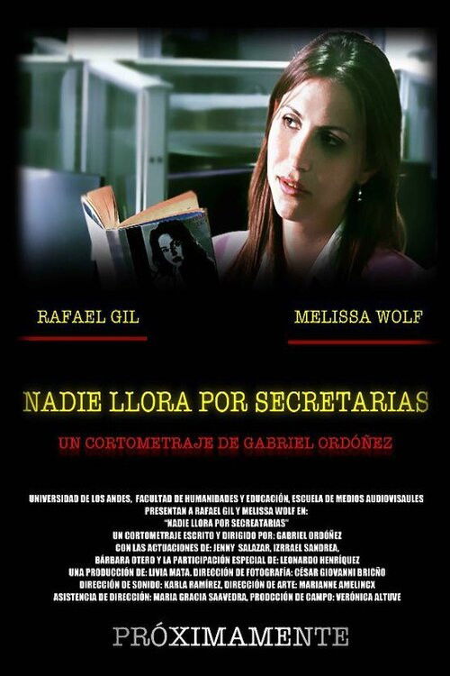 Nadie llora por secretarias (2010) poster
