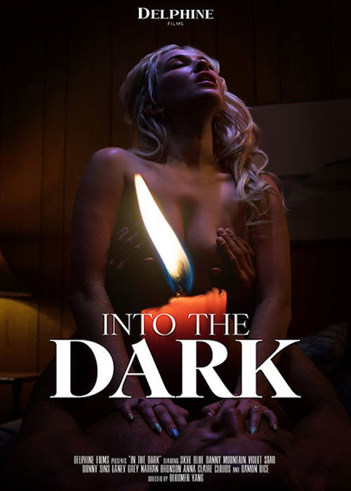 Into the dark (2024) poster