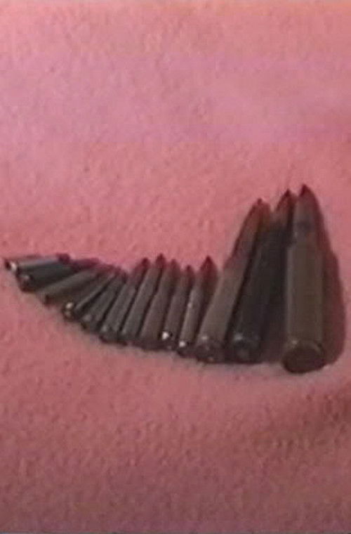 Hostage: The Bachar Tapes (English Version) (2001) poster