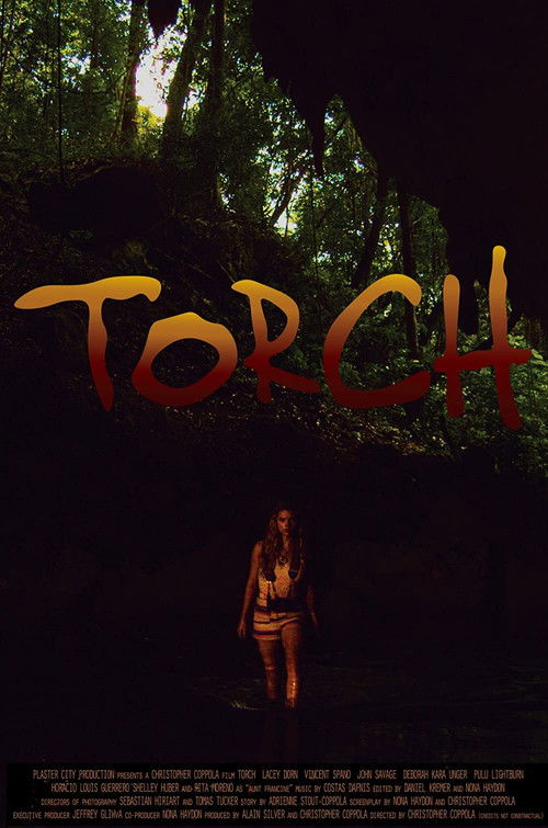 Torch (2018) poster