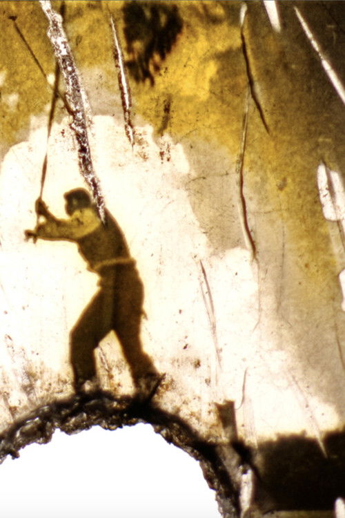 Osnabrück Lagerhalle (1988) poster