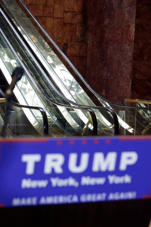 Trump's Lobby (2017) poster