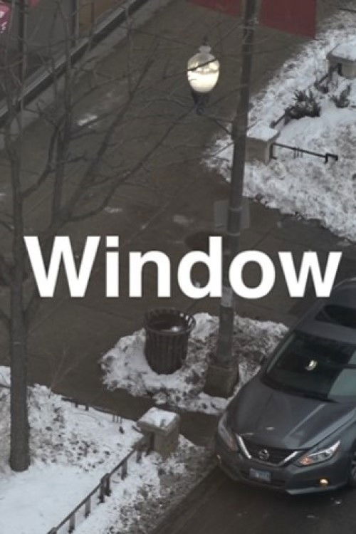 Window (2022) poster