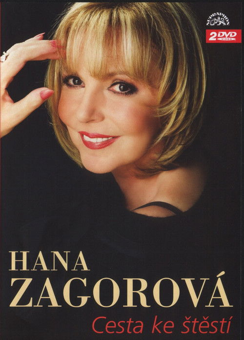 Cesta ke štěstí (2004) poster