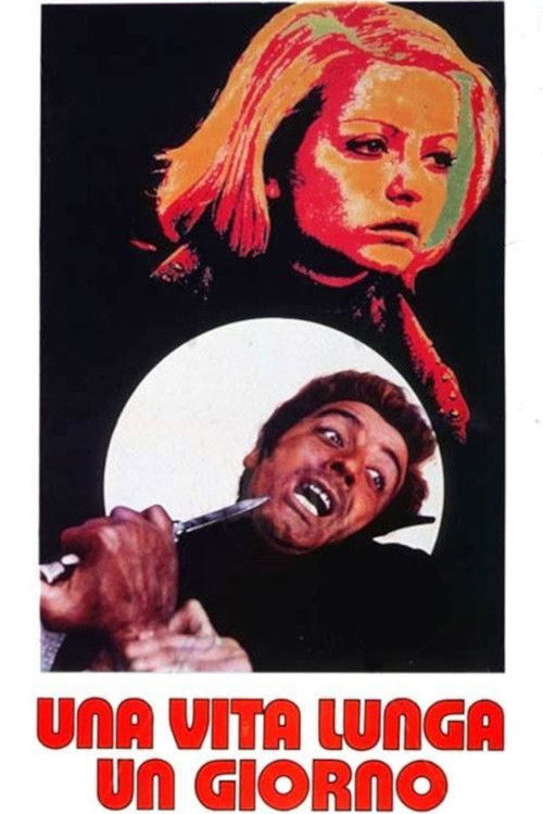 Long Lasting Days (1973) poster