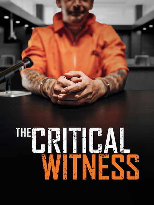 The Critical Witness (2021) poster