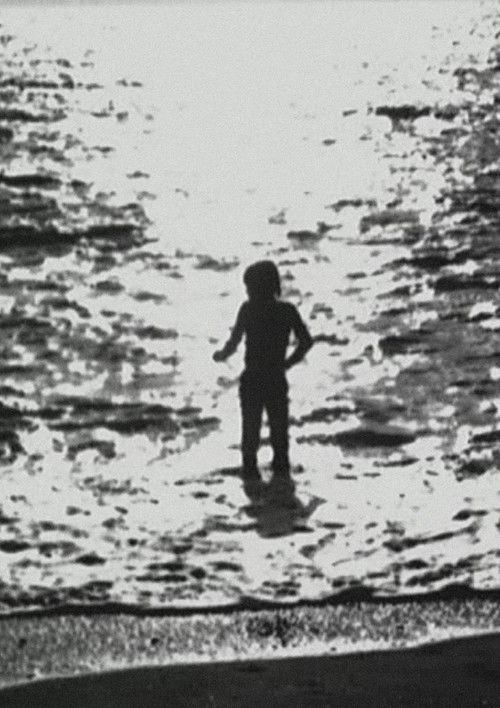 Mouches Volantes (1976) poster