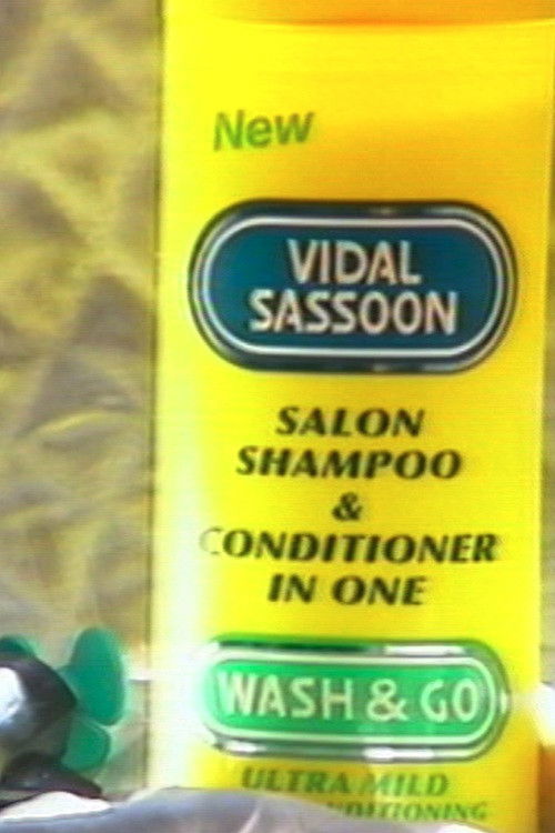 The Story of Wash & Go (1995) poster