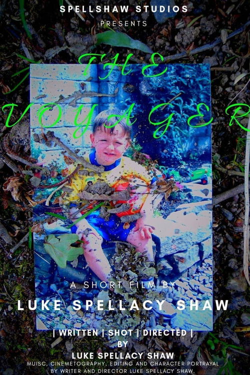 The Voyager (2020) poster