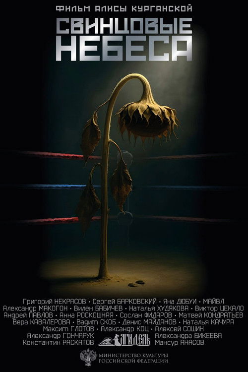 Свинцовые небеса poster