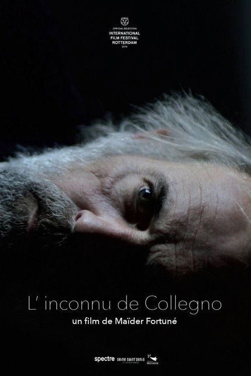 L’ inconnu de Collegno (2019) poster