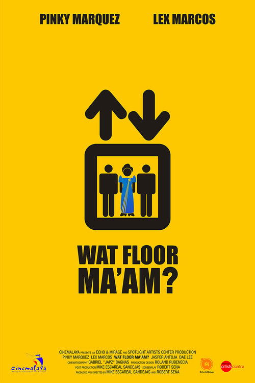 What Floor Ma'am (2009) poster