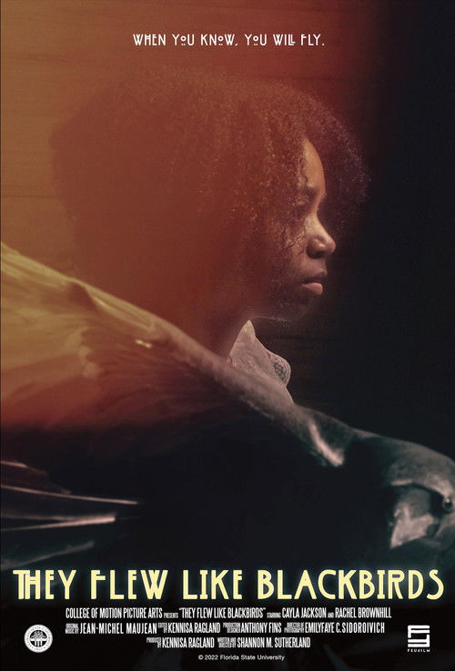 They Flew Like Blackbirds (2022) poster