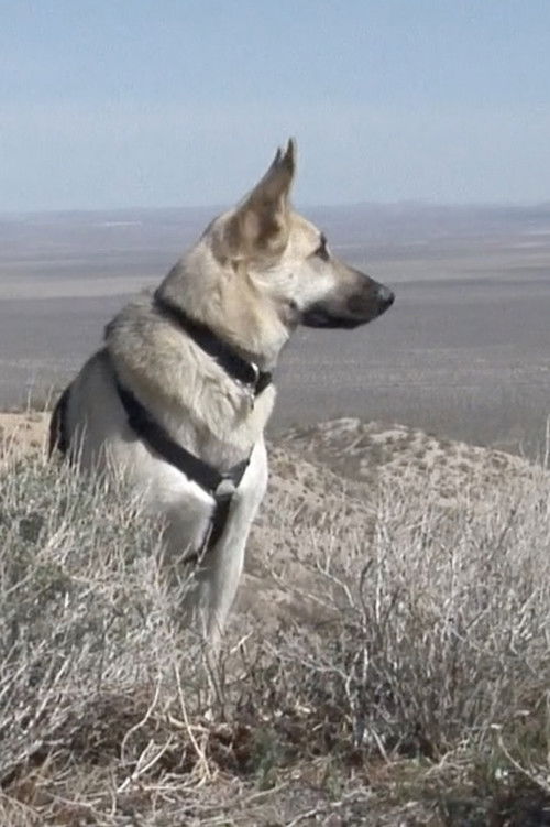 Lena River (2015) poster