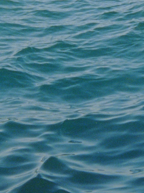 Water Diary (2026) poster