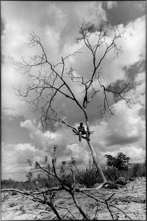 Le rêve de São Paulo (2004) poster