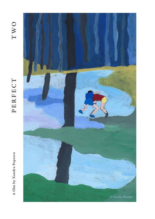 Un Doi Perfect (2022) poster