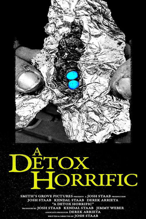 A Detox Horrific (2024) poster