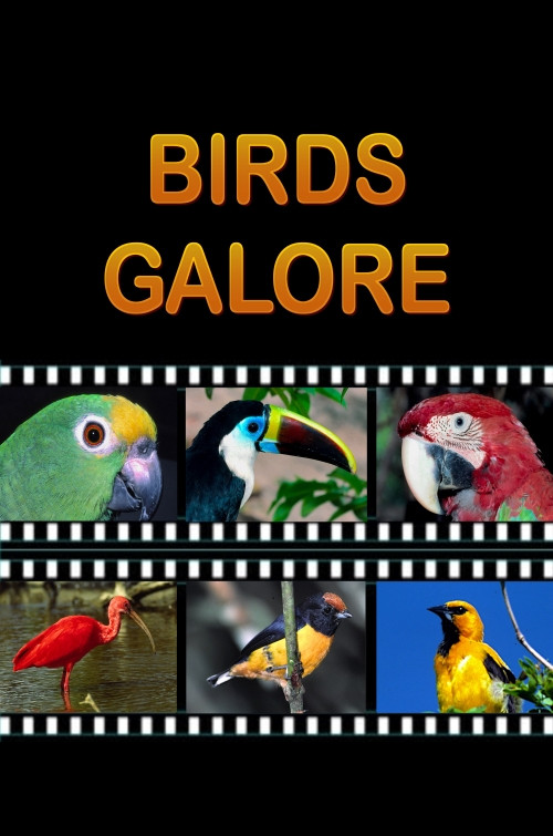 Birds Galore (2012) poster