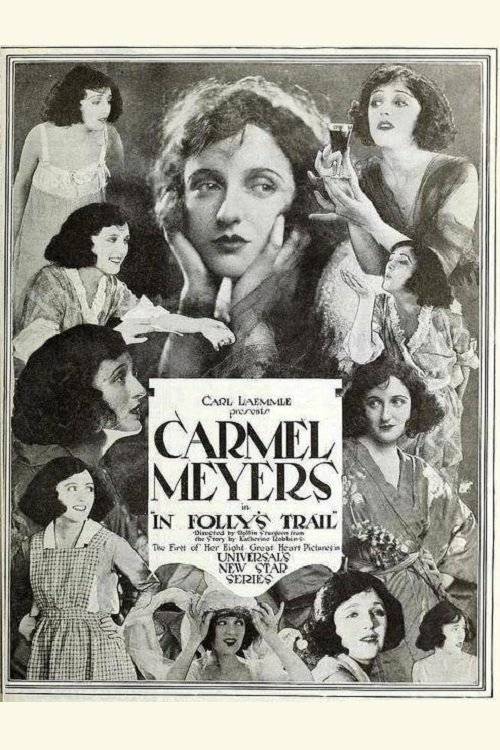 In Folly's Trail (1920) poster