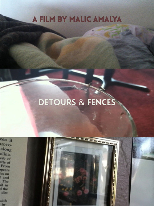 Detours and Fences (2012) poster