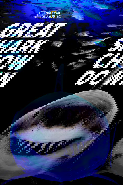 Great Shark Chow Down (2019) poster