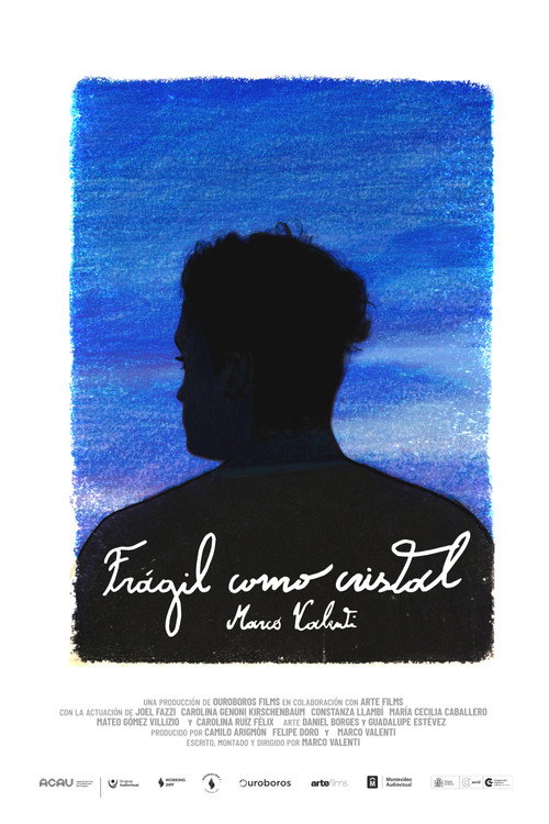Frágil como cristal (2026) poster