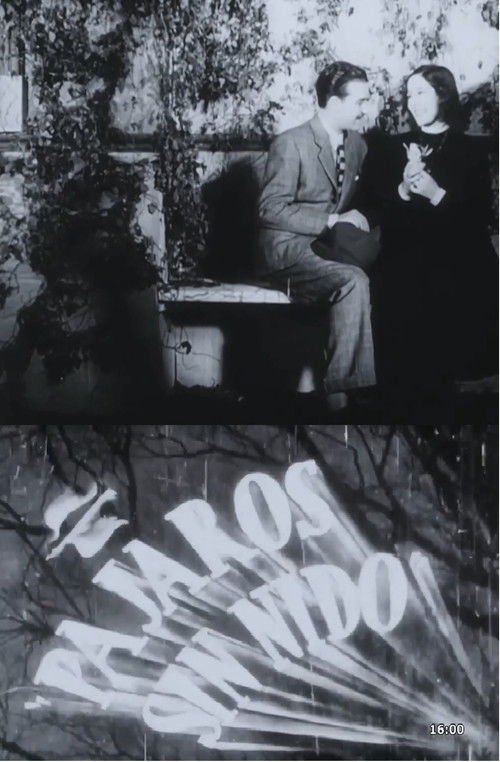 Pájaros sin nido (1940) poster