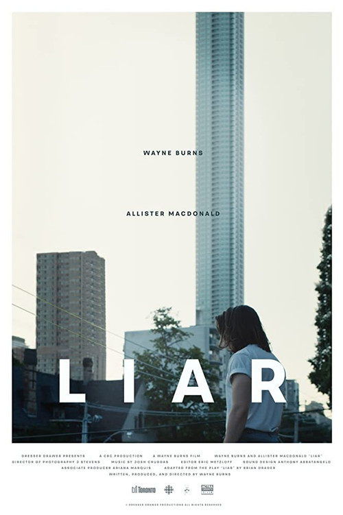 Liar (2020) poster