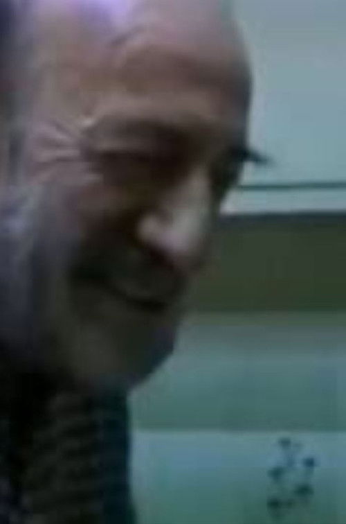 Visits to the Home of E. H. Gonatas (1996) poster