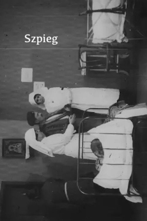 The Spy (1915) poster