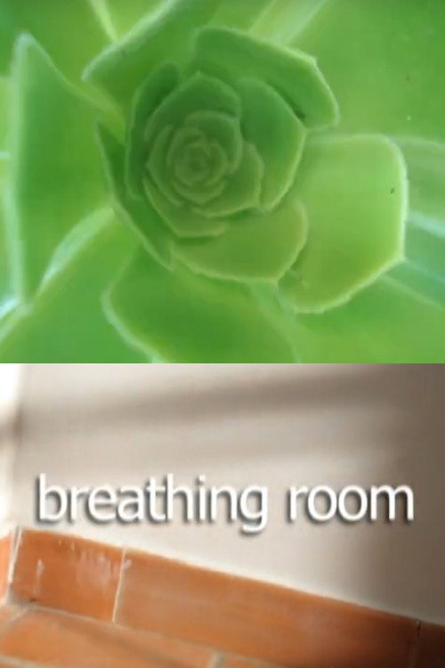 Breathing Room (2009) poster